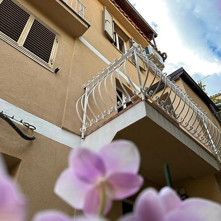Ara Home Marcellinara Exteriér fotografie